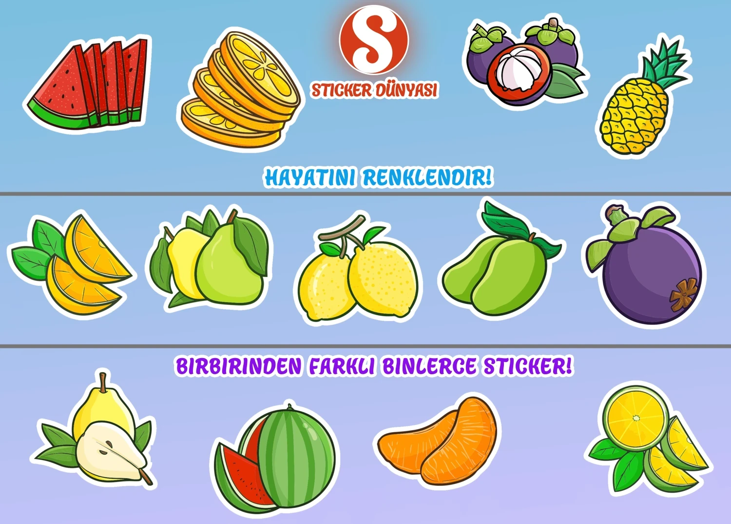 Meyveler Desenli Renkli Sticker Koleksiyonu (Meyveler02) görsel 4